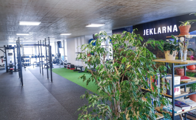 jeklarna vrhnika